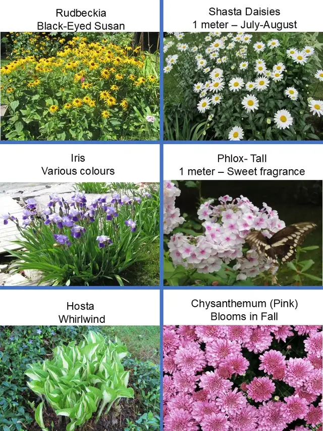 EARLY NOTICE - PLANT SALE - MAY 16 & 17 - Photo 3