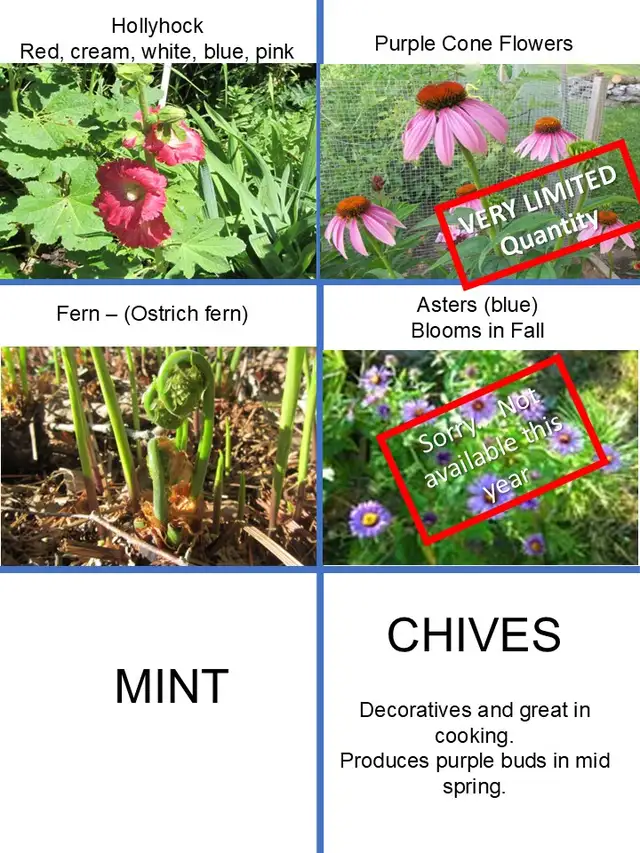 EARLY NOTICE - PLANT SALE - MAY 16 & 17 - Photo 6
