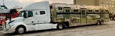 Transport Available