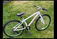 Girls Raleigh LILY Bike