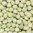 Seed for sale