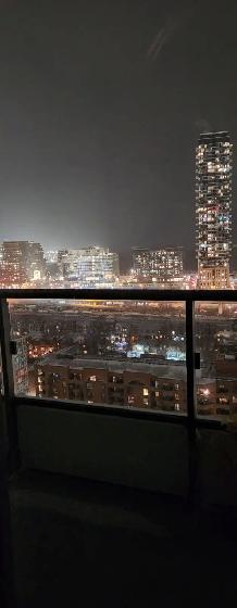 Penthouse room for rent-Downtown Toronto-$1350/mo