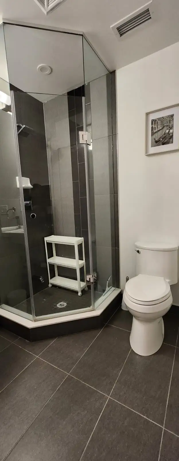 Penthouse room for rent-Downtown Toronto-$1350/mo - Photo 5