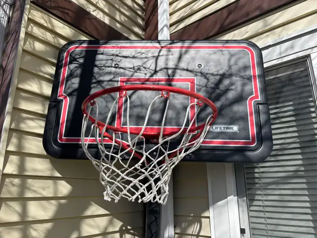 Basketball Net