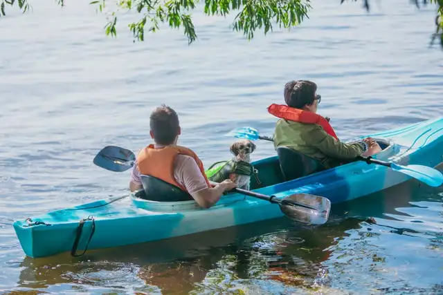 Toronto Cheapest Kayak – $25 for 4 Hours | Tandem Available - Photo 3