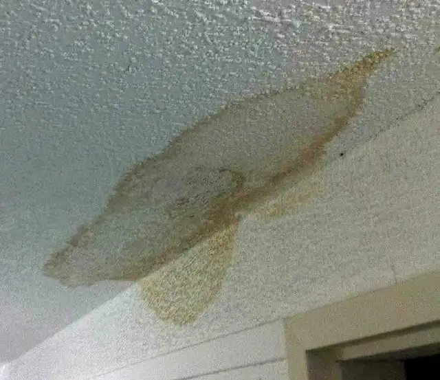 painter and drywall repair 4034311925 - Photo 7