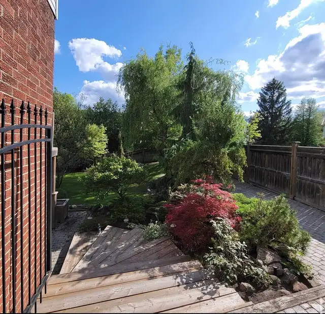 Affordable landscaping services