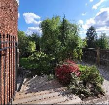 Affordable landscaping services