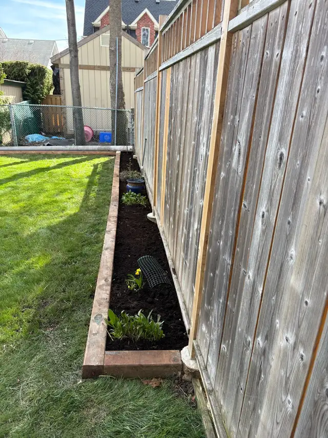 Affordable landscaping services - Photo 2