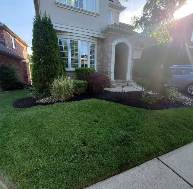 Affordable landscaping services - Photo 5