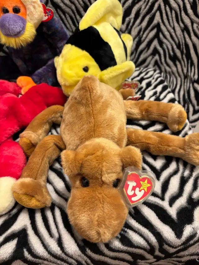 TY Beanie Buddies $15ea. or $80 for All - Photo 4