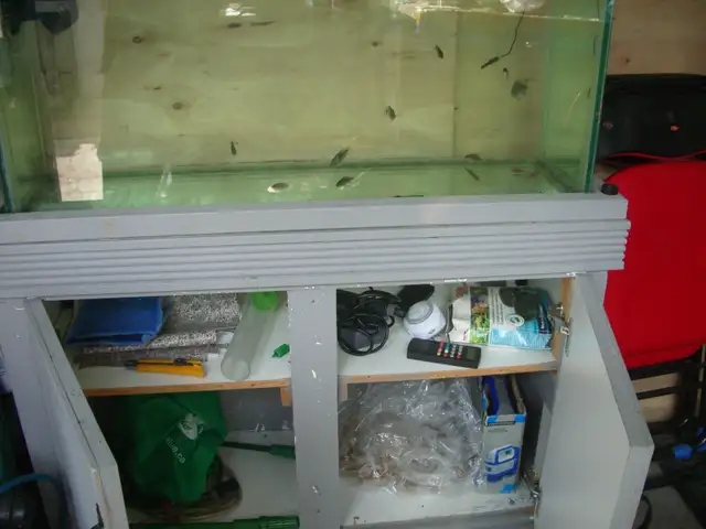 FOR SALE 45 GALLON TANK AND STAND $100 - Photo 3