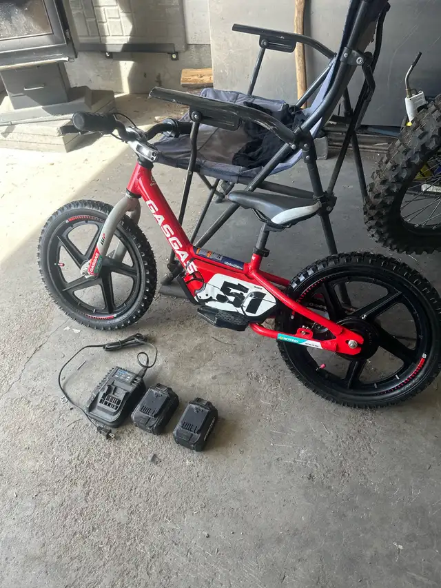Stacyc e drive16