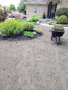 Landscaping (S.O.D)