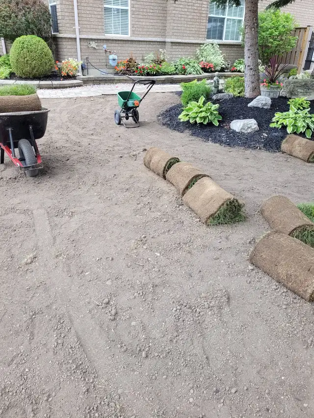 Landscaping (S.O.D) - Photo 2