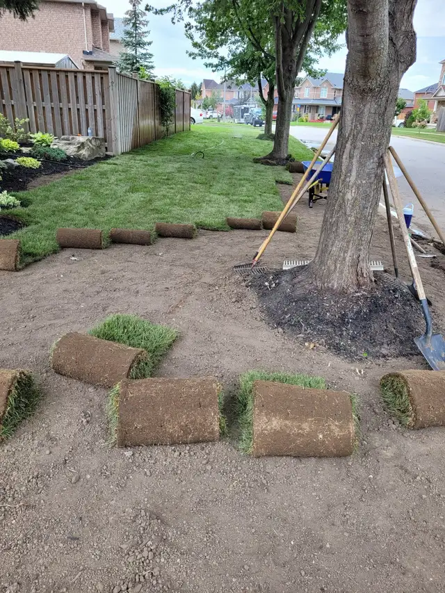 Landscaping (S.O.D) - Photo 3