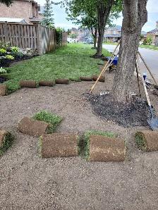 Landscaping (S.O.D) - Photo 3