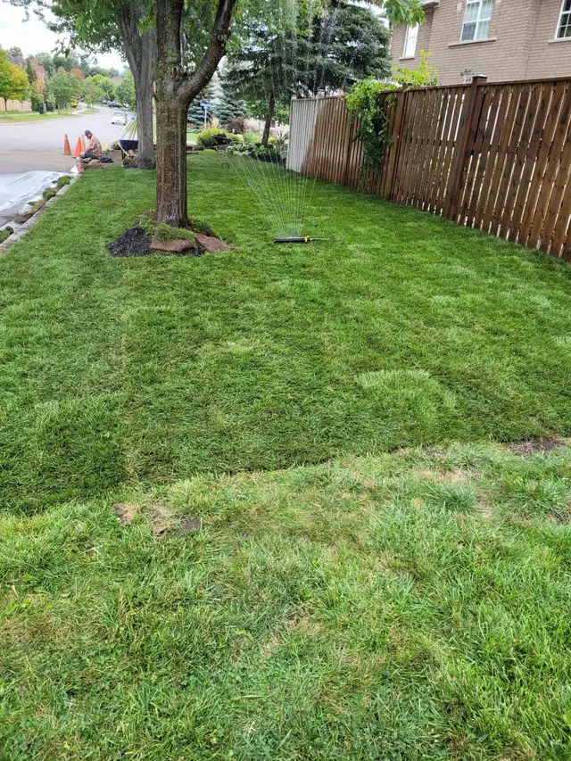 Landscaping (S.O.D) - Photo 4