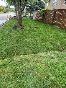 Landscaping (S.O.D) - Photo 4