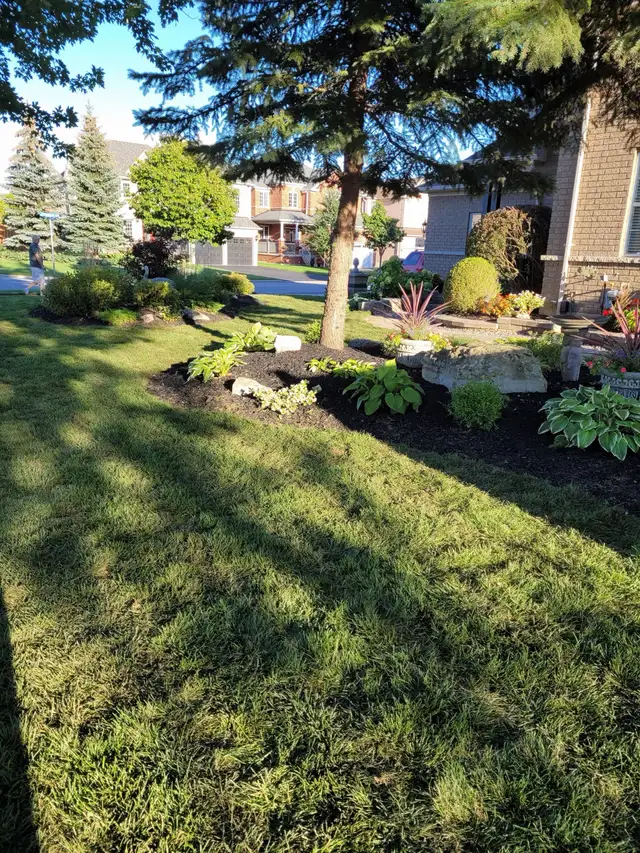 Landscaping (S.O.D) - Photo 7
