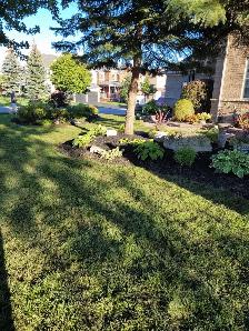 Landscaping (S.O.D) - Photo 7
