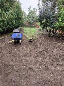 Landscaping (S.O.D) - Photo 9