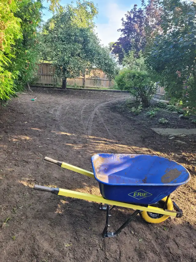 Landscaping (S.O.D) - Photo 10