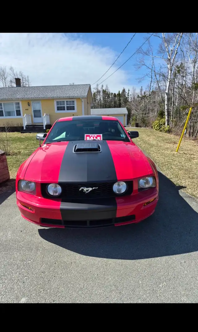 2007 Ford Mustang GT - Photo 4