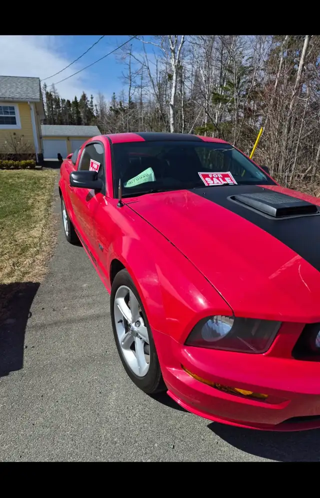 2007 Ford Mustang GT - Photo 5