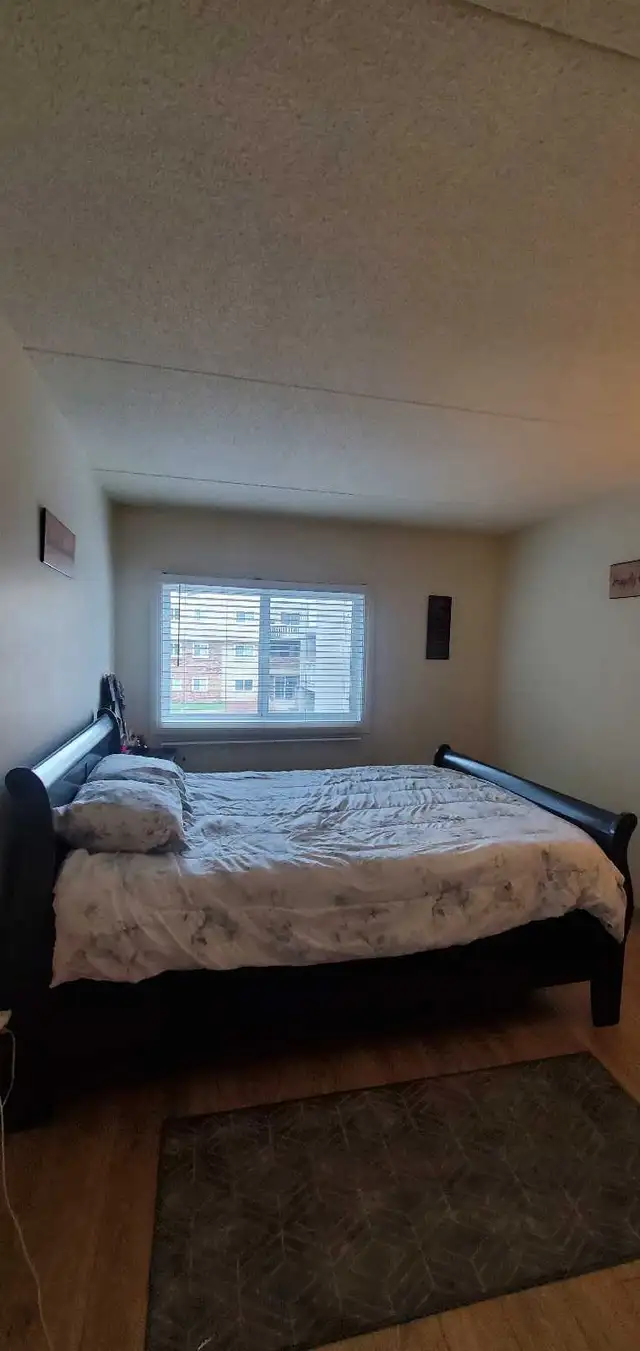 1 bedroom apartment/ sublet - Photo 2