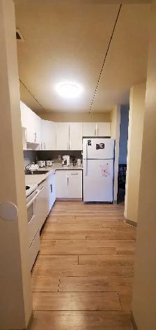 1 bedroom apartment/ sublet - Photo 3
