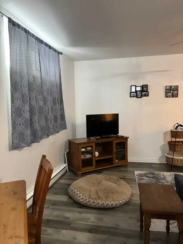 Magnifique 3 1/2 à louer à Gatineau - Photo 8