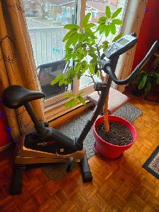 Velo stationnaire