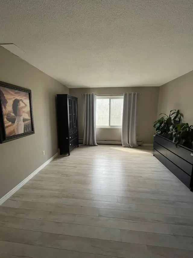 1  BD  & 2 BD apartments 11916-105 St Edmonton - Photo 6