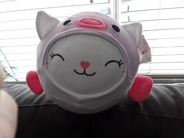 Stuff toys