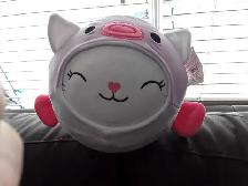 Stuff toys