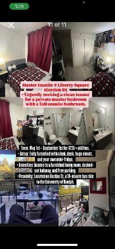 MASTER BEDROOM WITH BATHROOM FURNISHED FOR RENT GUELPH