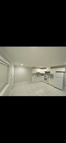 2 bedroom basement for rent in surrey