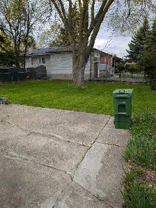 Professional Bi-Weekly Lawn Maintenance – 50% OFF SEASONAL RATES
