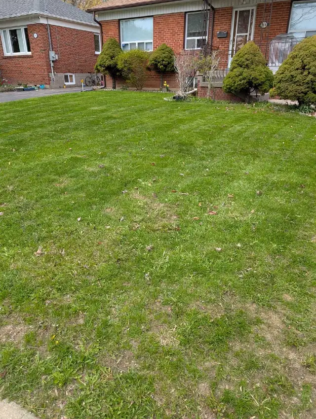 Professional Bi-Weekly Lawn Maintenance – 50% OFF SEASONAL RATES - Photo 2