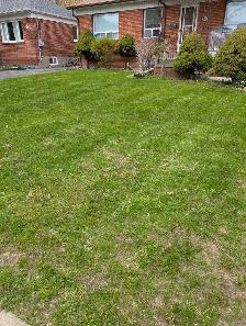 Professional Bi-Weekly Lawn Maintenance – 50% OFF SEASONAL RATES - Photo 2