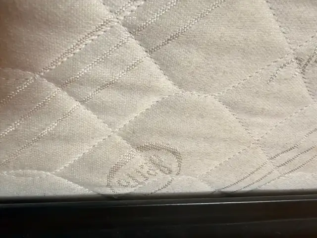 free queen matters box spring &bed frame pick up today or tomo - Photo 4
