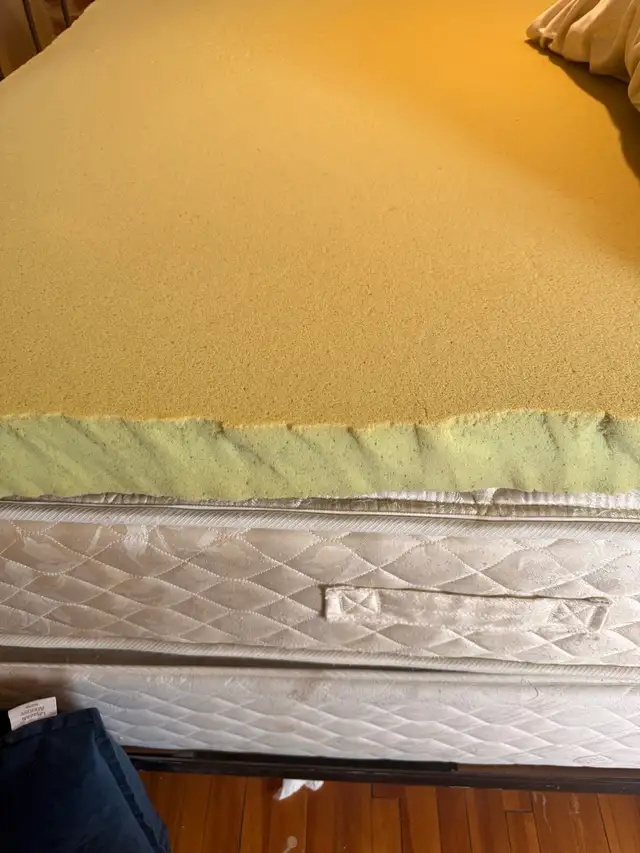 free queen matters box spring &bed frame pick up today or tomo - Photo 6