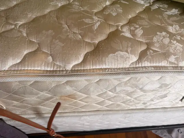 Queen mattress and box spring /frame: light - Photo 6