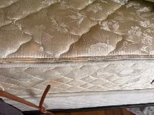 Queen mattress and box spring /frame: light - Photo 6