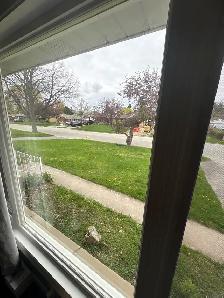 WANTED: GRASS CUTTING