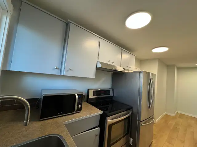 Spacious Newly Renovated 2 Bedroom Suite Near Downtown - Photo 3