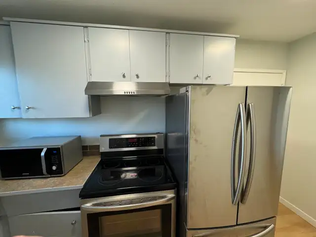 Spacious Newly Renovated 2 Bedroom Suite Near Downtown - Photo 4