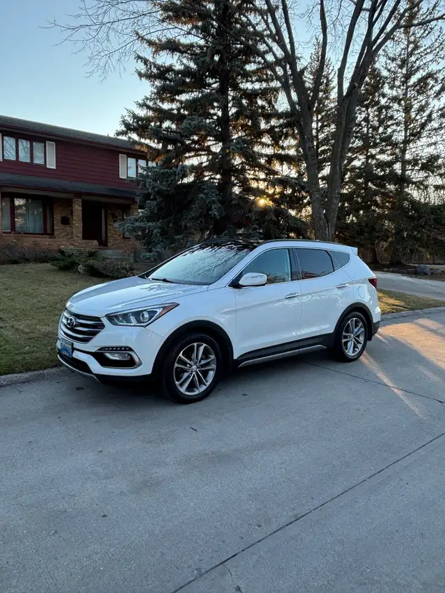 2018 Hyundai Sante Fe for Sale - Photo 2
