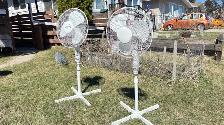 Floor Fans